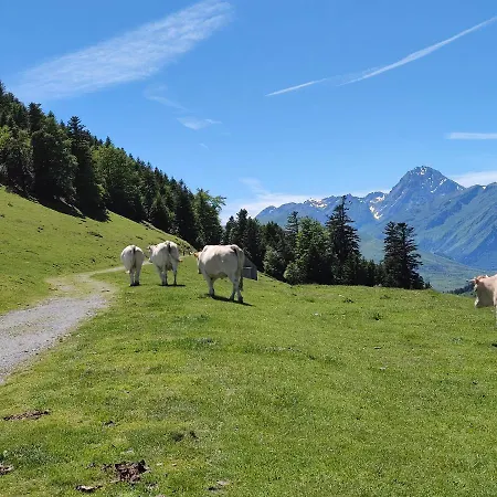 Grand En Rdc Vallee De * 康庞