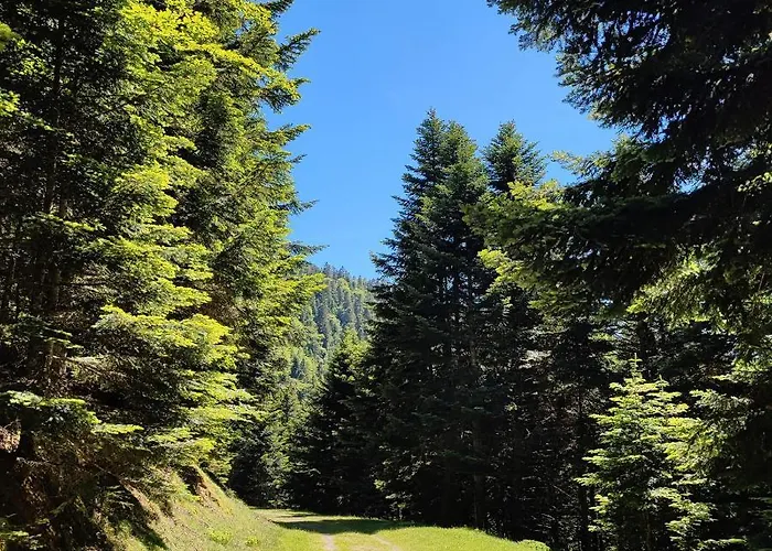 Grand En Rdc Vallee De 康庞